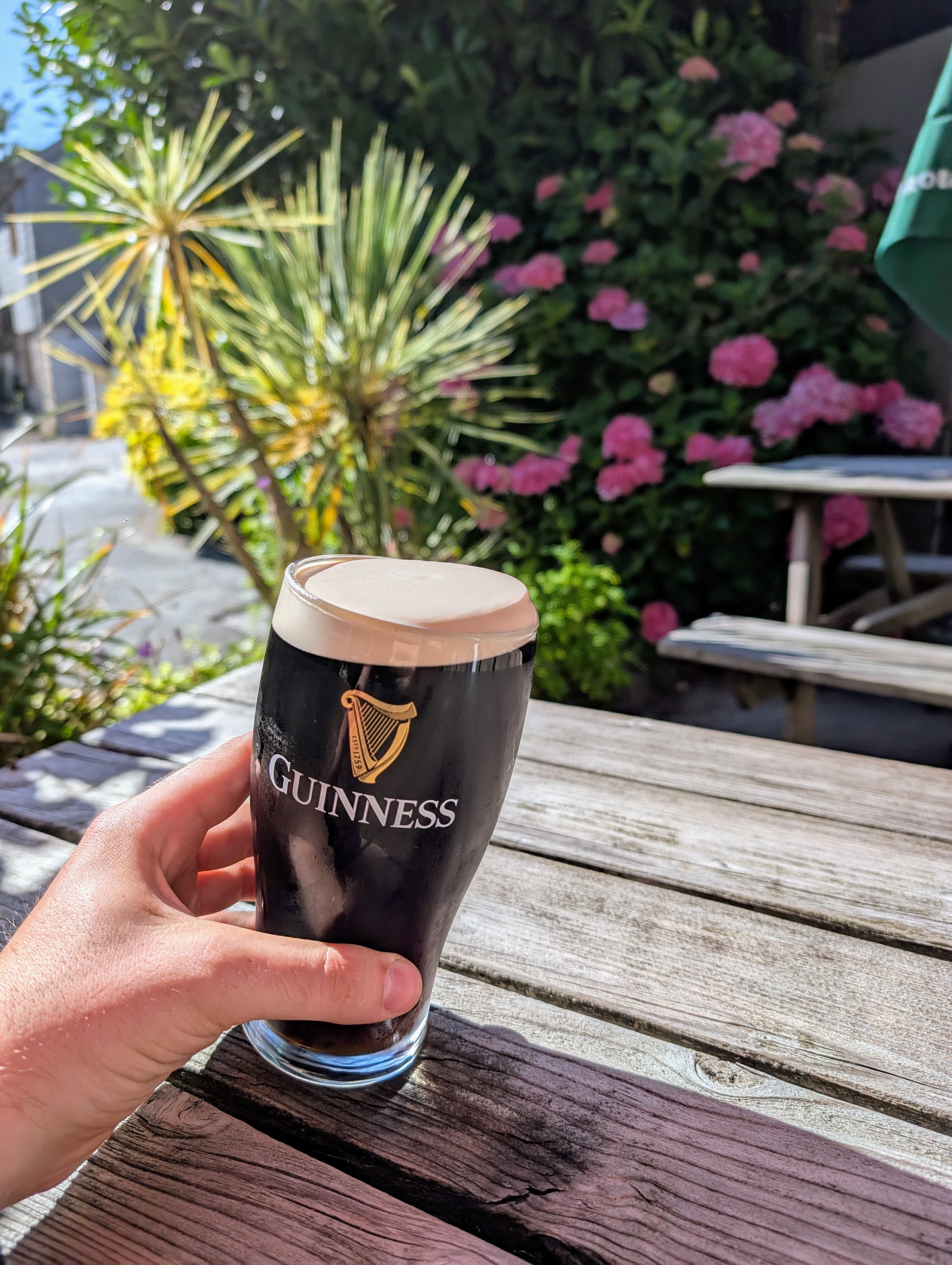 Guinness in the beer garden at the White Horse Inn Launceston